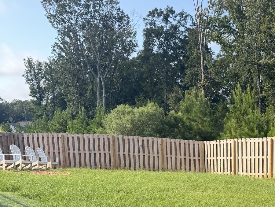A back lawn cut clean up to the fence line